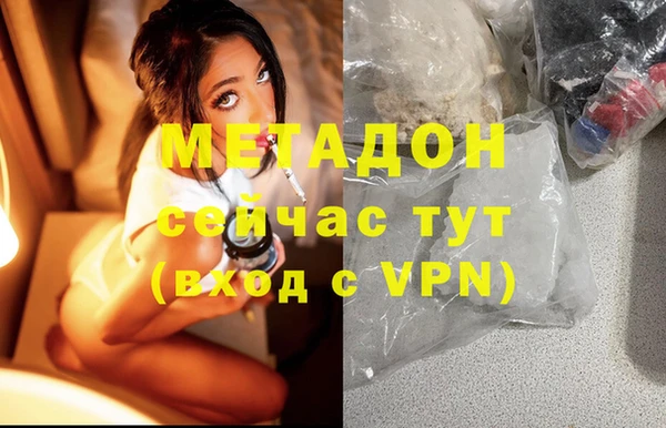 сатива Алзамай