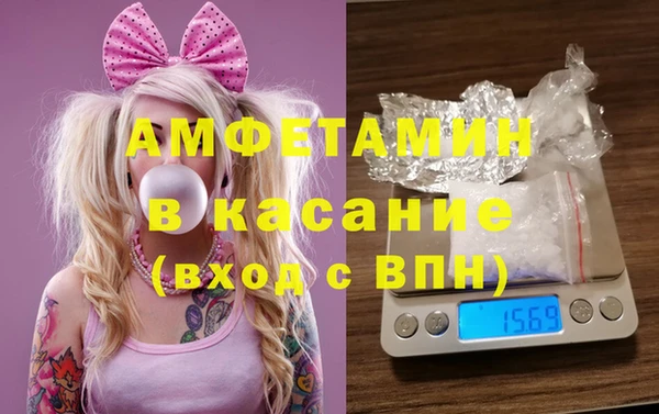 сатива Алзамай