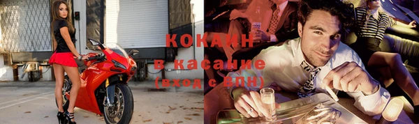 сатива Алзамай