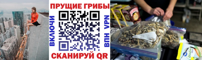 Галлюциногенные грибы Magic Shrooms  Купить  Гуково 